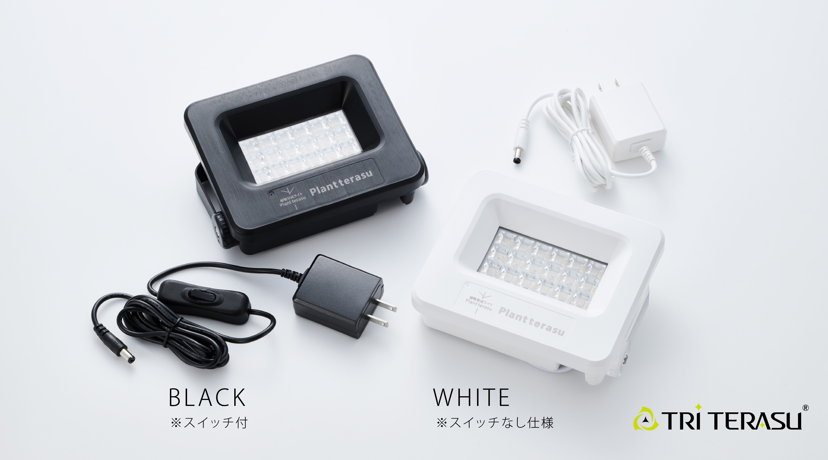 1115-WHITE_04.jpg