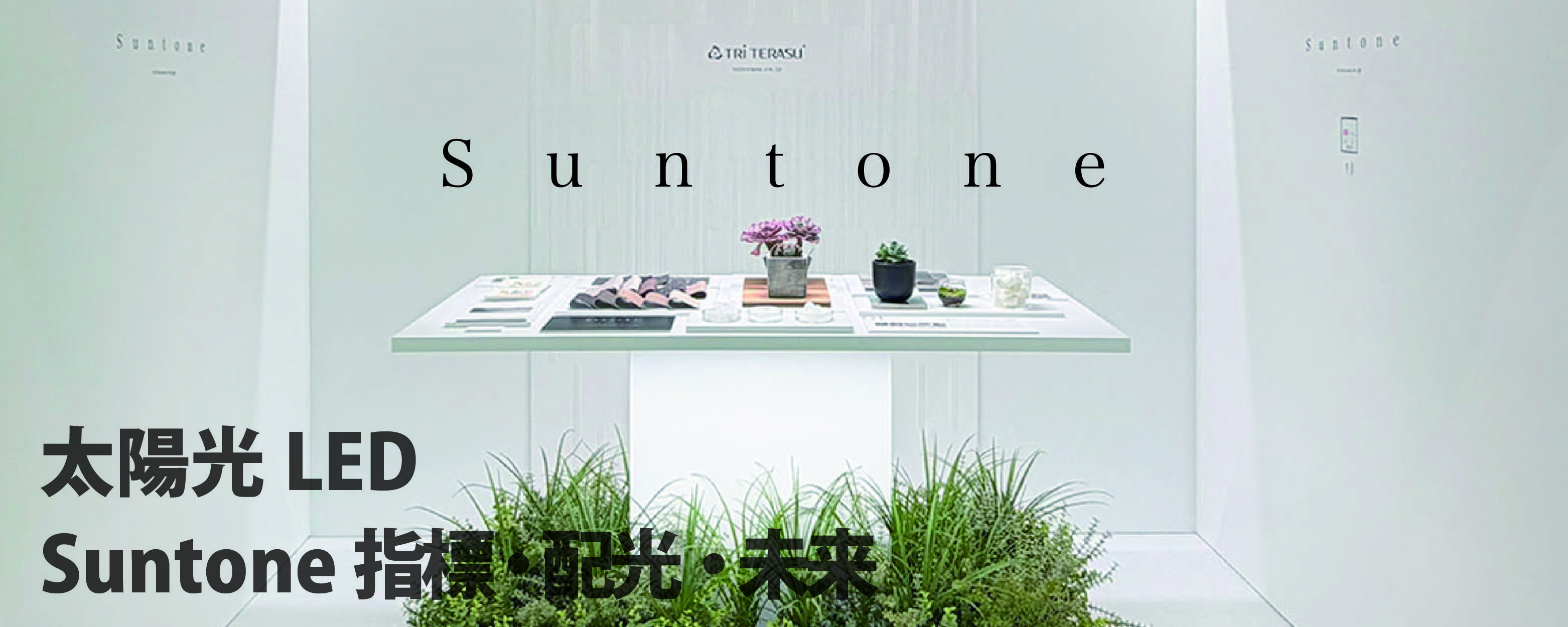 Suntone-b-04-03.jpg