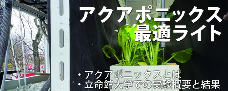 Aquaponics-triterasublog-main-02.jpg