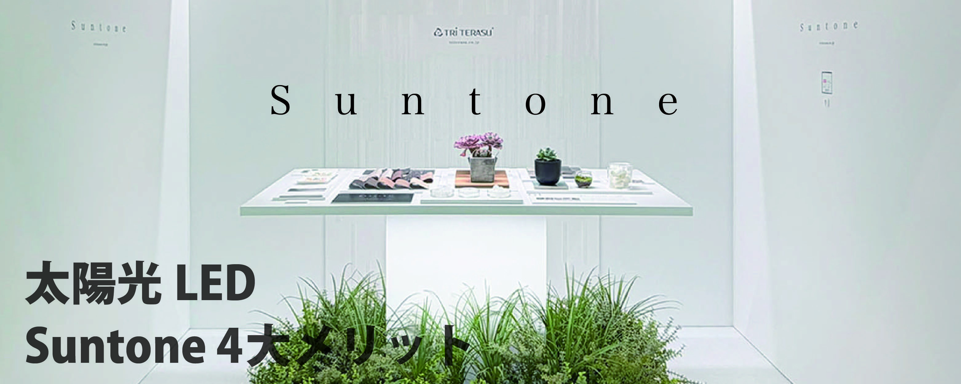 Suntone-b-02-01.jpg