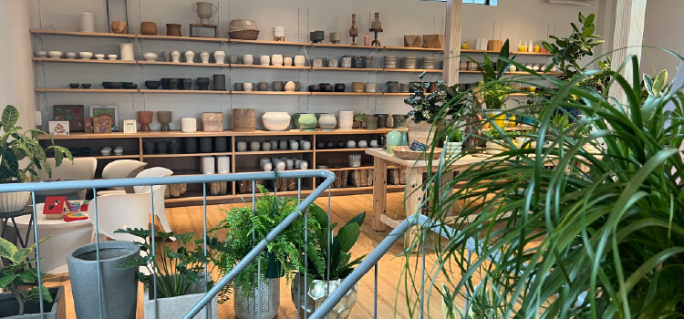 plantterasublog-shop_CHROMA-_1_2.jpg