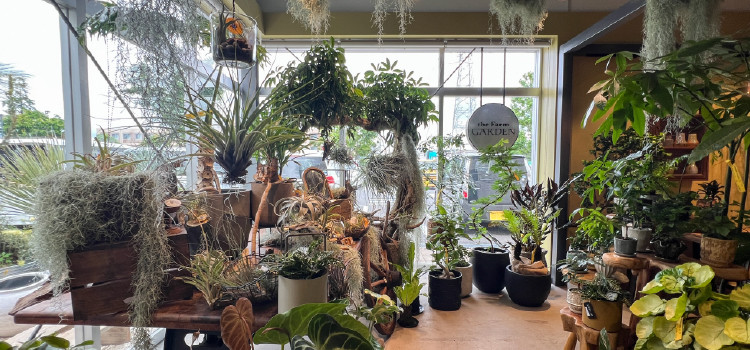 plantterasublog-shop_chi02-_2.jpg